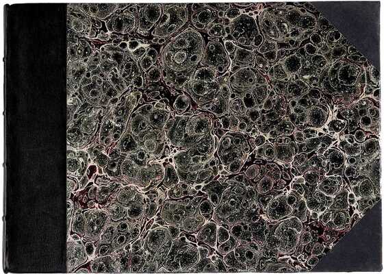 [Армянский народ во время Первой мировой войны]. Пг.: Типография Р. Голике и А. Вильборг, 1916